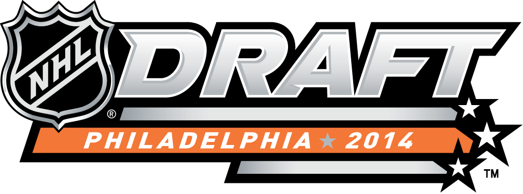 NHL Draft 2014 Alternate Logo iron on transfers for clothing